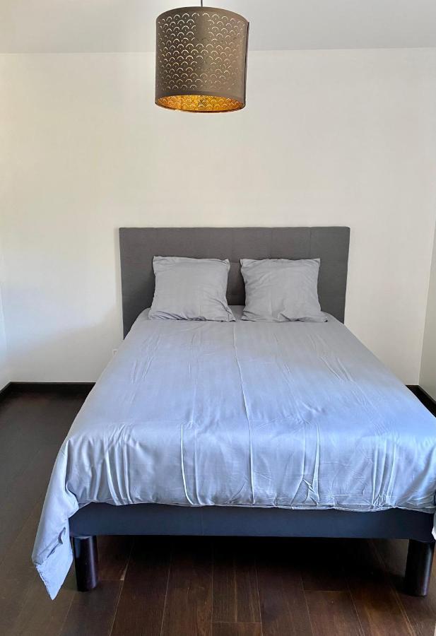 Appart Cosy Proche Du Lac Avec Terrasse Annecy Exterior foto